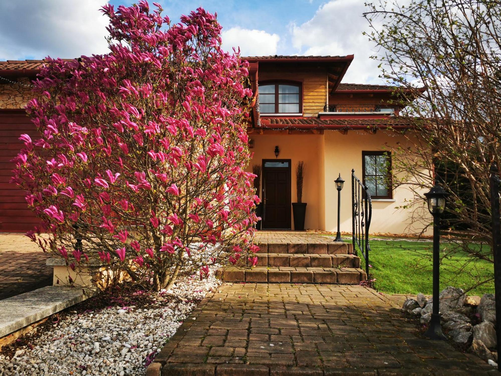 Luxury Apartment Mogyorod Hungaroring Mogyoród